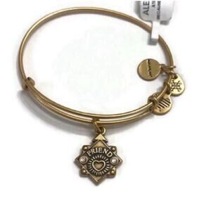 Alex and Ani Because I Love You Friend III Bracelet